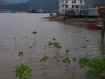 IMG_0203