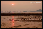 Landscape ����