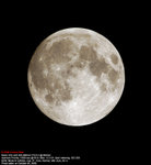Mid Autumn Festival 06
