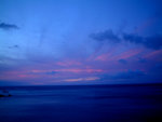 DSCF8849
