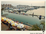 _DSC12109r