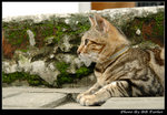 _DSC15049r
