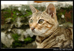 _DSC15051r