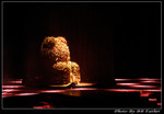 _DSC3309r