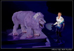 DSC_4738r