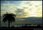 DSC_34996r