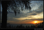 DSC_35016r