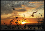 DSC_35019r