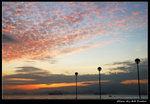 DSC_35033r