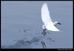 DSC_35481r