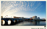 DSC_39663_8_r