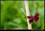 _DSC5717r