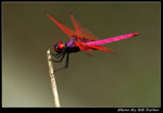 DSC_31123r