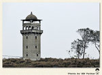 _DSC11468r