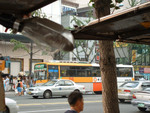DSCF0032