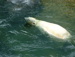 DSCF0069