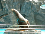 DSCF0073