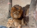 DSCF0076