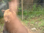 DSCF0081