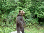 DSCF0082
