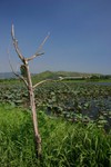 IMG_2620