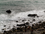 PC020259
