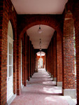 P7023096