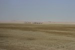 IMG_5310