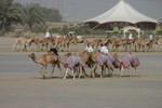 IMG_5319