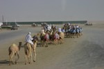 IMG_5330