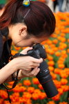 FlowShow2008019