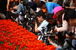 FlowShow2008021