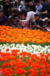 FlowShow2008046