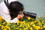 FlowShow2008117