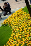 FlowShow2008155
