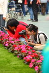 FlowShow2008179