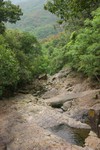 IMG_0313