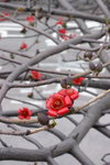 CRW_1184