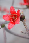 CRW_1187