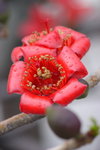 CRW_1190