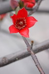 CRW_1192