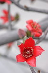 CRW_1193