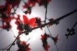 lighting effect 2