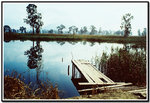 film 011