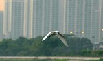 DSC_3286e