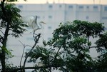 DSC_3297e