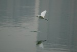 DSC_3390e