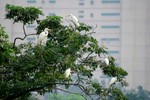 DSC_3410e