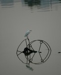 DSC_3416e