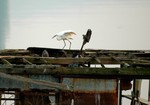 DSC_3418e